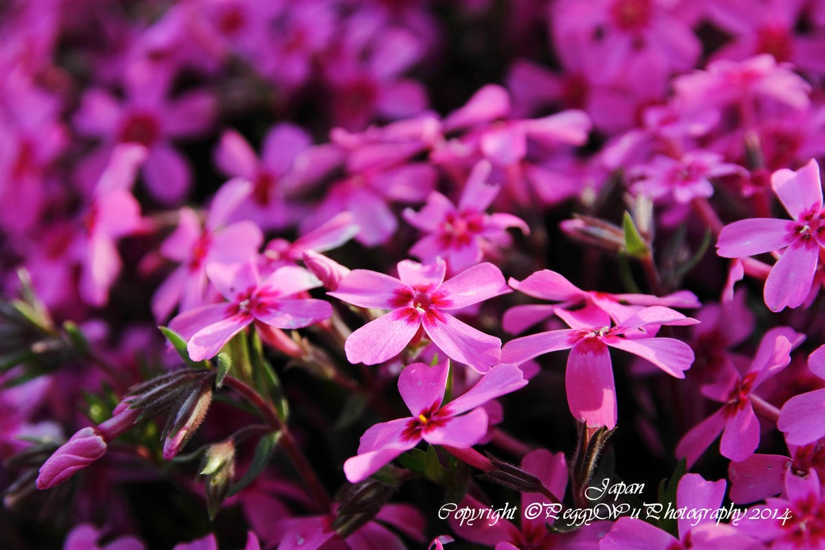 20251013-zlv7g 20251013-zlv7g