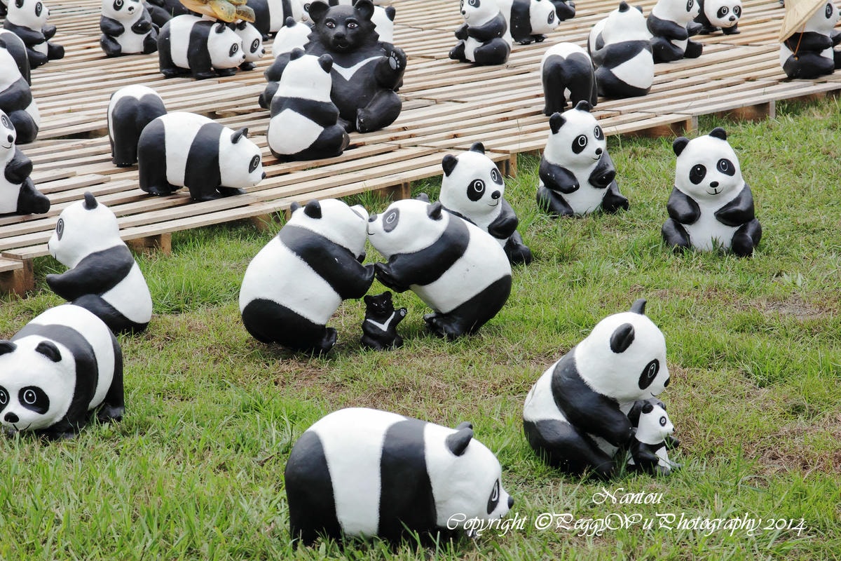 20251013-2xa97 20251013-2xa97