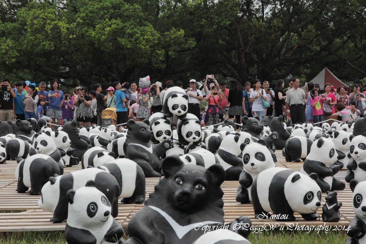 20251013-4vd8o 20251013-4vd8o