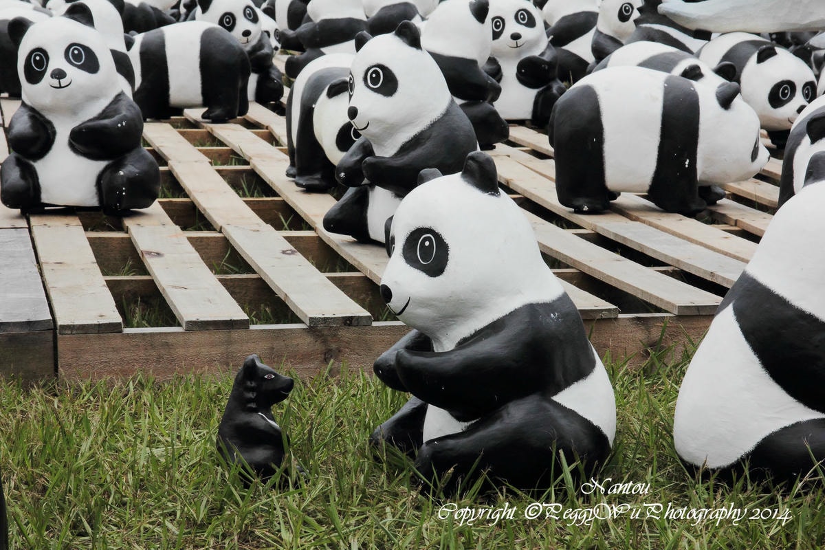 20251013-mwgru 20251013-mwgru