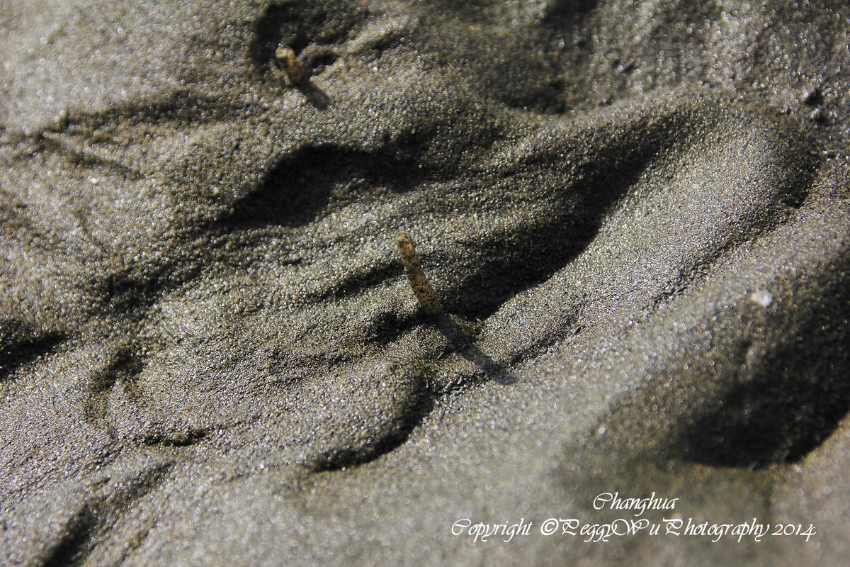 20251013-13lbl 20251013-13lbl