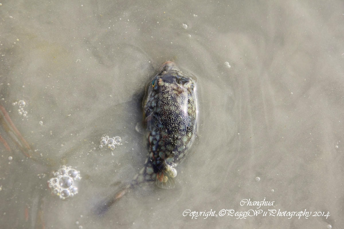 20251013-1yiyr 20251013-1yiyr