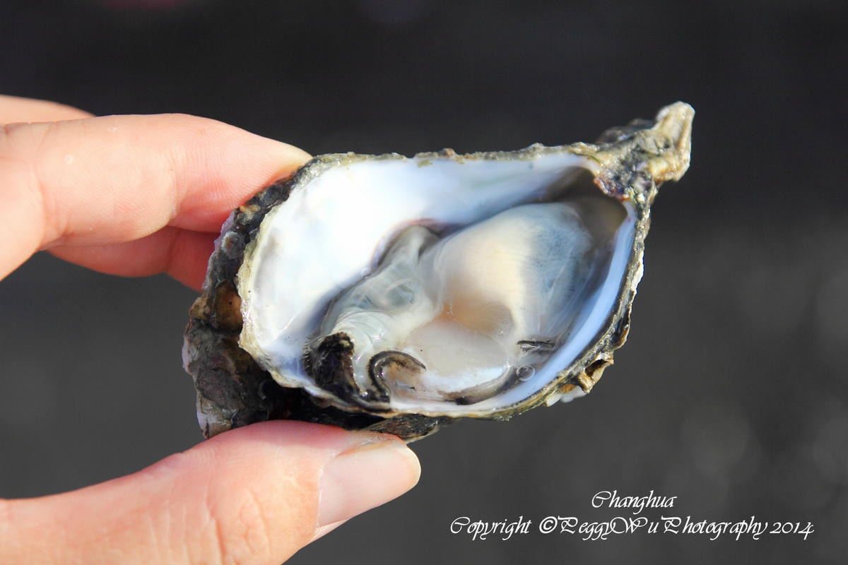 20251013-43l1f 20251013-43l1f