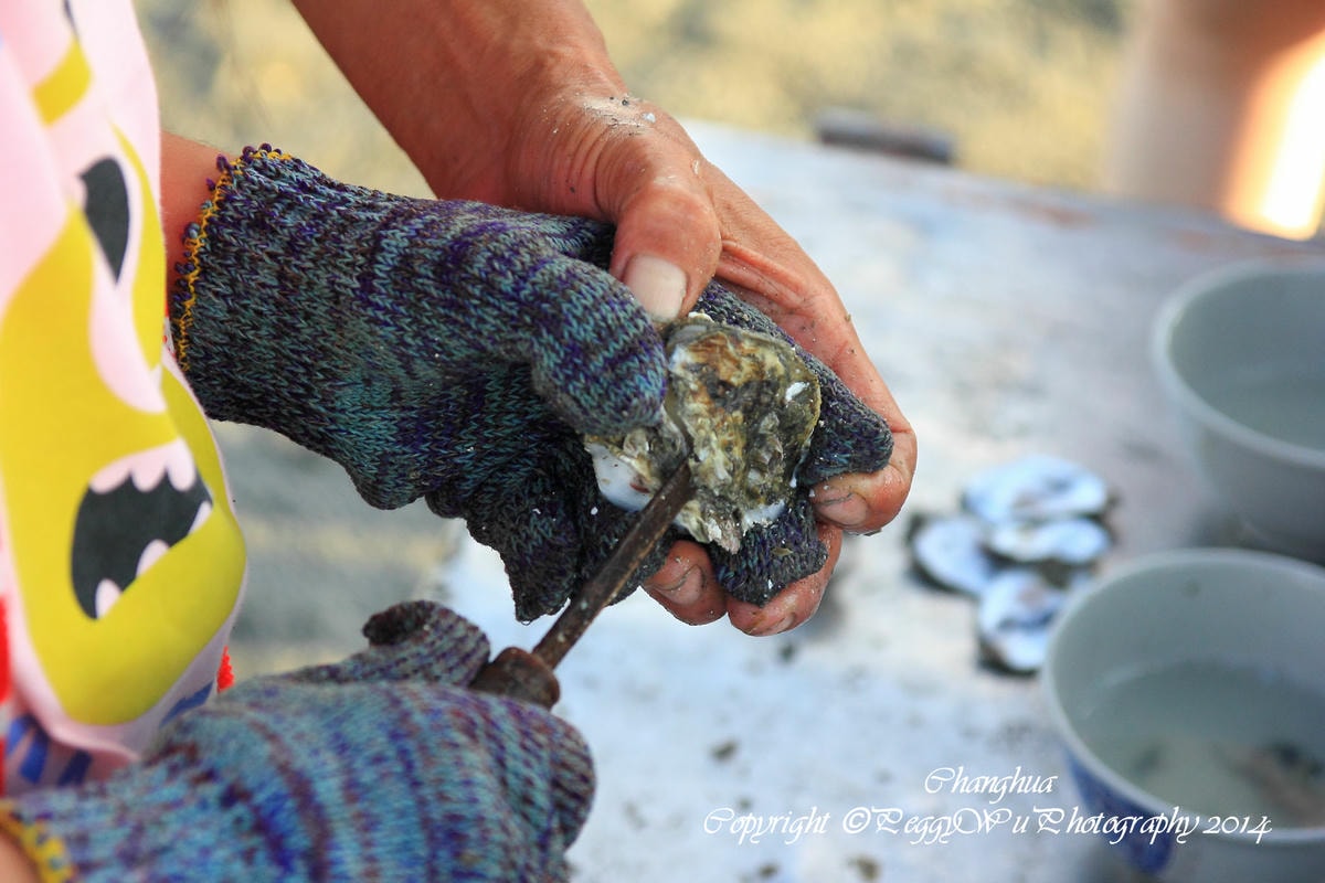 20251013-6b5eo 20251013-6b5eo