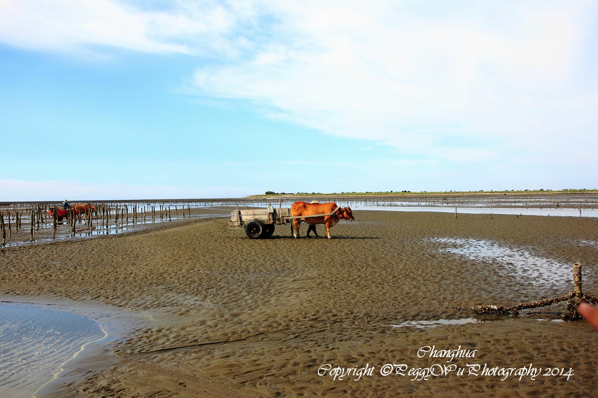 20251013-8eo3x 20251013-8eo3x