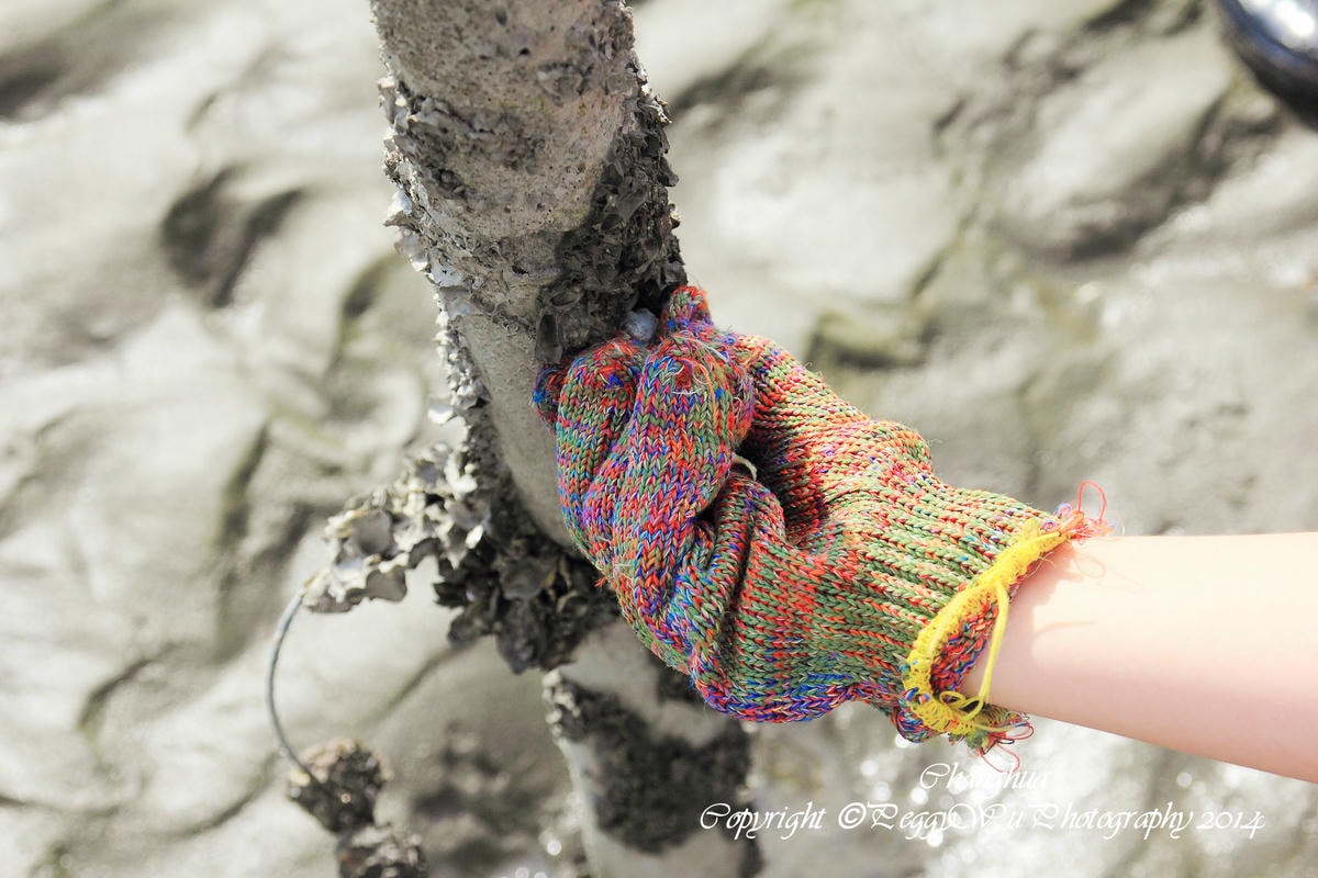 20251013-9jfj8 20251013-9jfj8