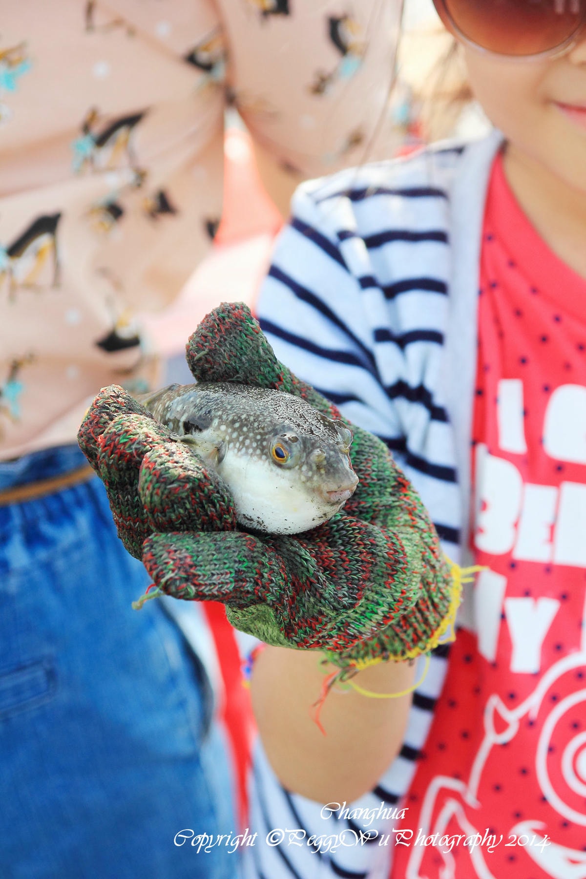 20251013-beedh 20251013-beedh