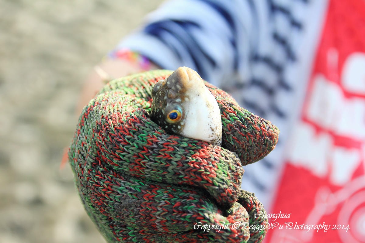 20251013-csdnf 20251013-csdnf