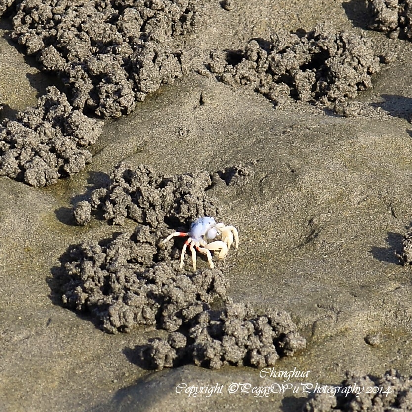 20251013-drc2i 20251013-drc2i