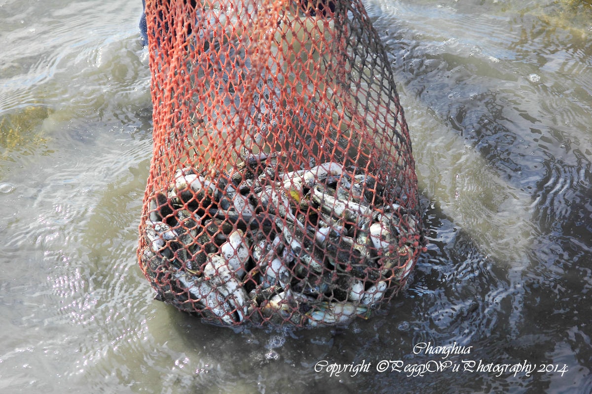 20251013-ebpc2 20251013-ebpc2