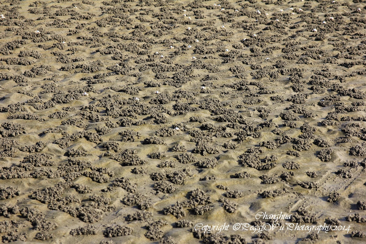 20251013-fgf38 20251013-fgf38