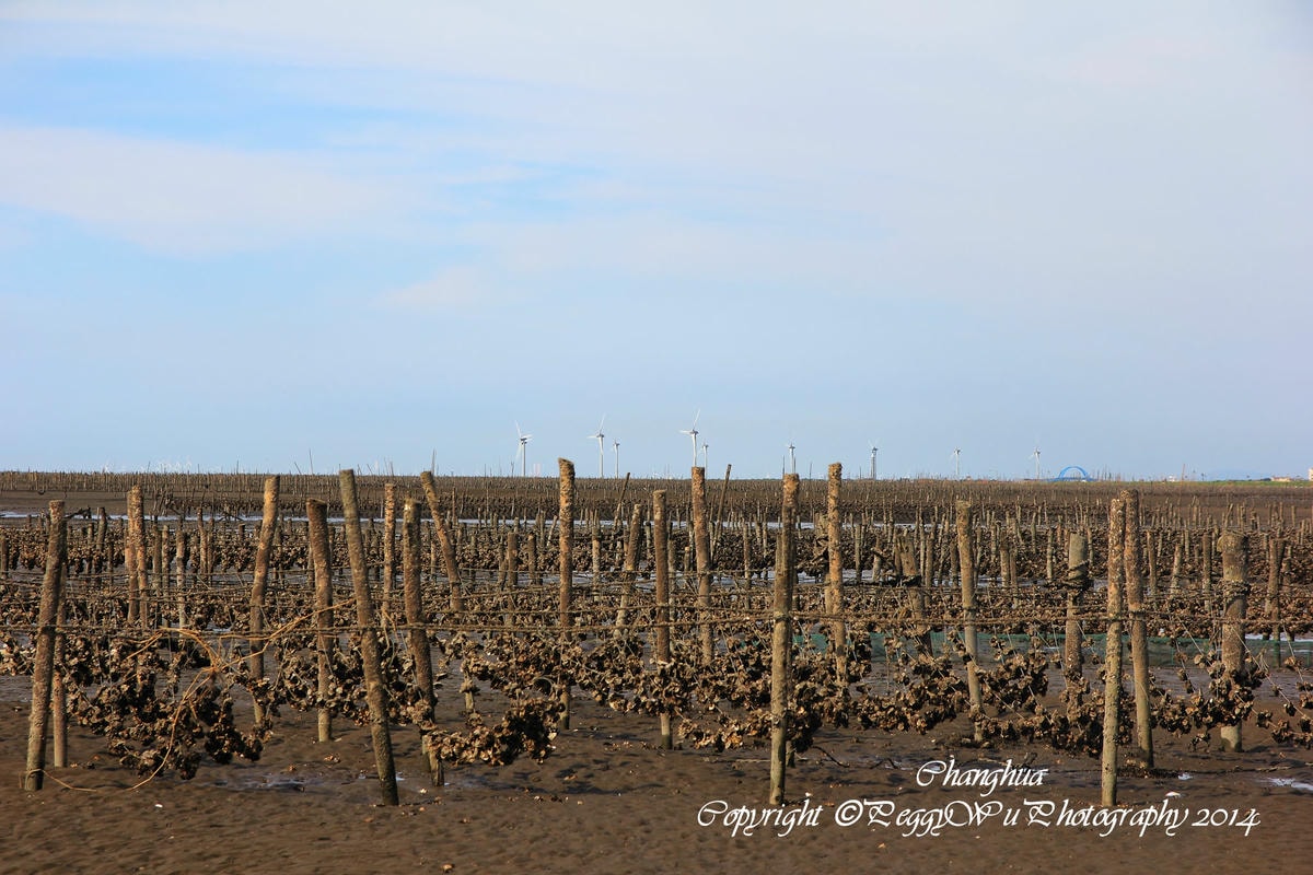 20251013-foeqj 20251013-foeqj