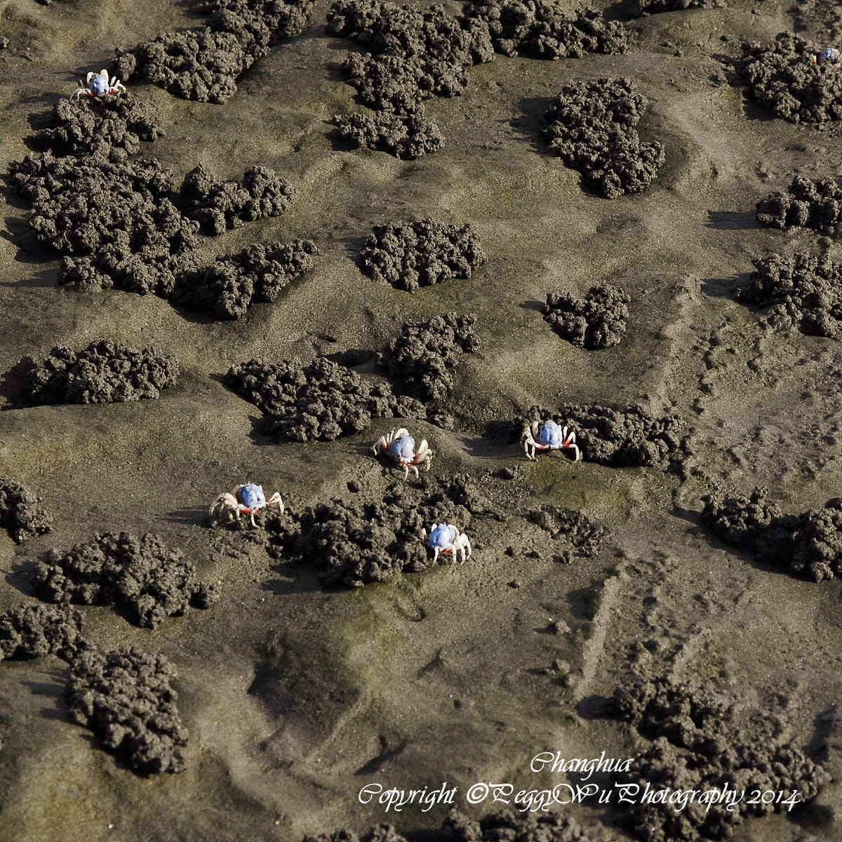 20251013-k483u 20251013-k483u