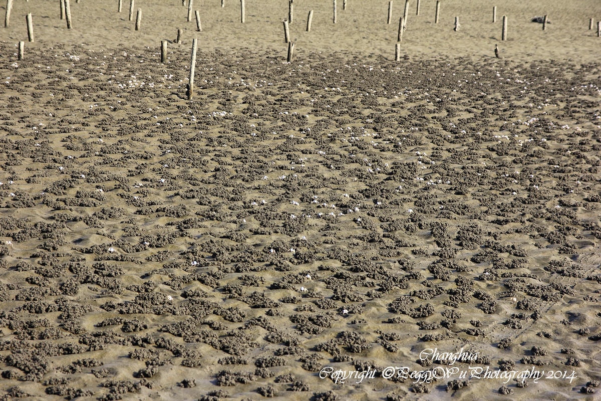 20251013-uxyj9 20251013-uxyj9