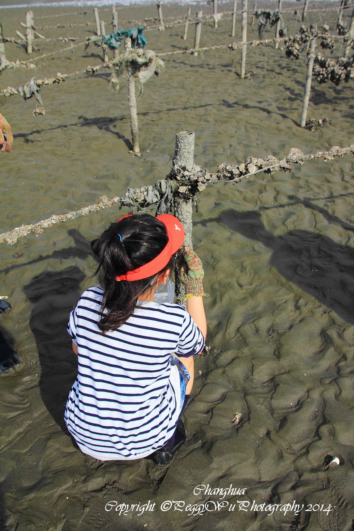 20251013-wsih4 20251013-wsih4