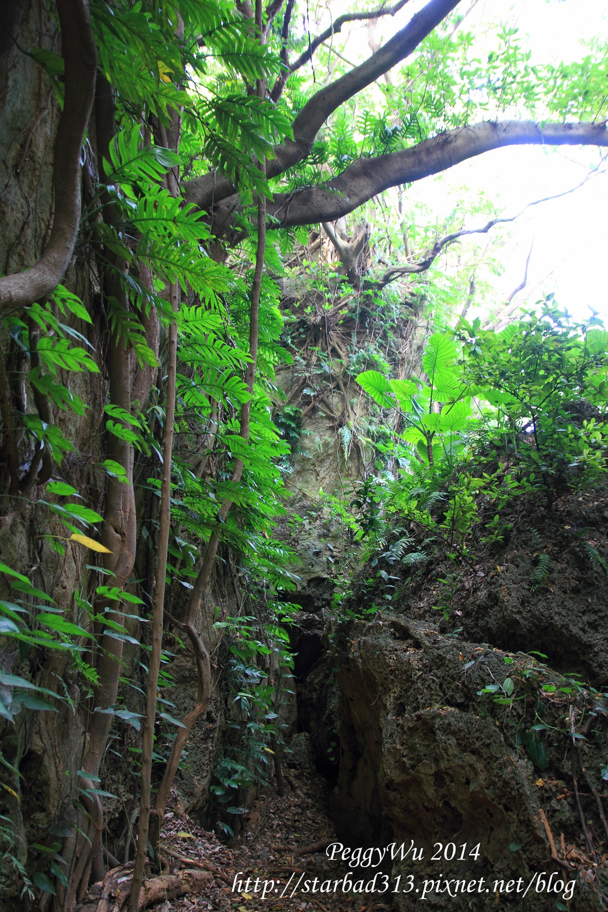 20251013-91sap 20251013-91sap