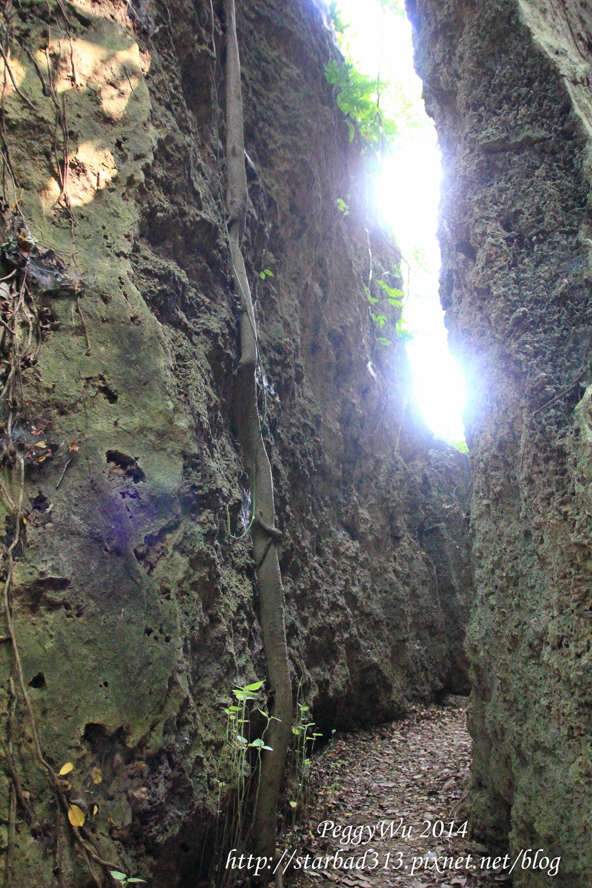 20251013-ij1kz 20251013-ij1kz