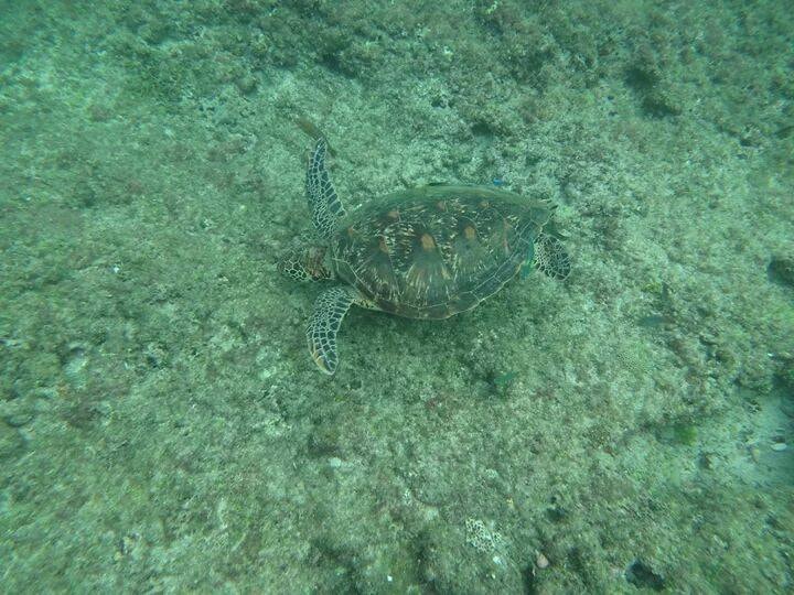 20251013-jb51g 20251013-jb51g