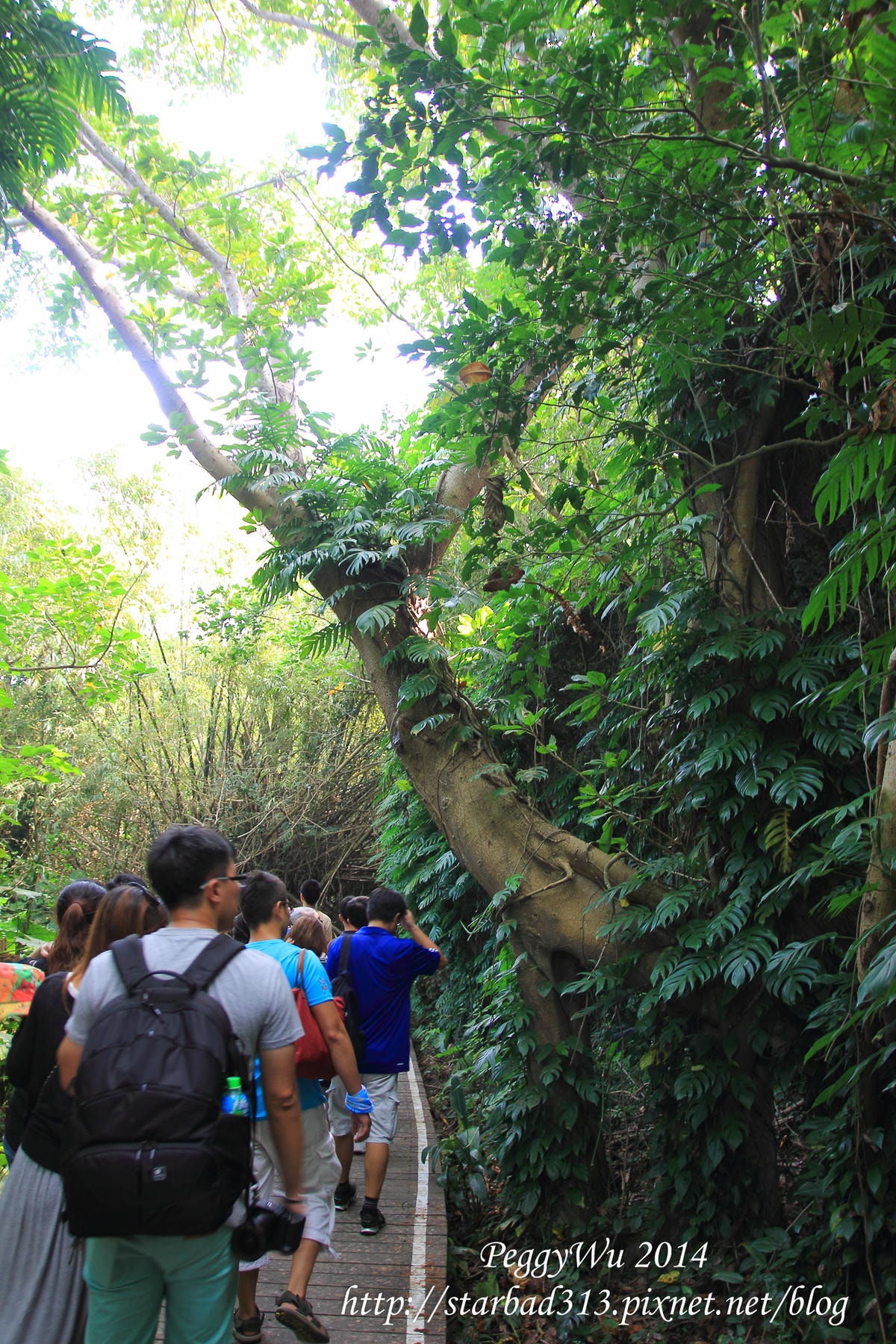 20251013-mafzy 20251013-mafzy