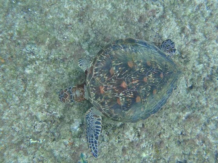 20251013-np2mm 20251013-np2mm