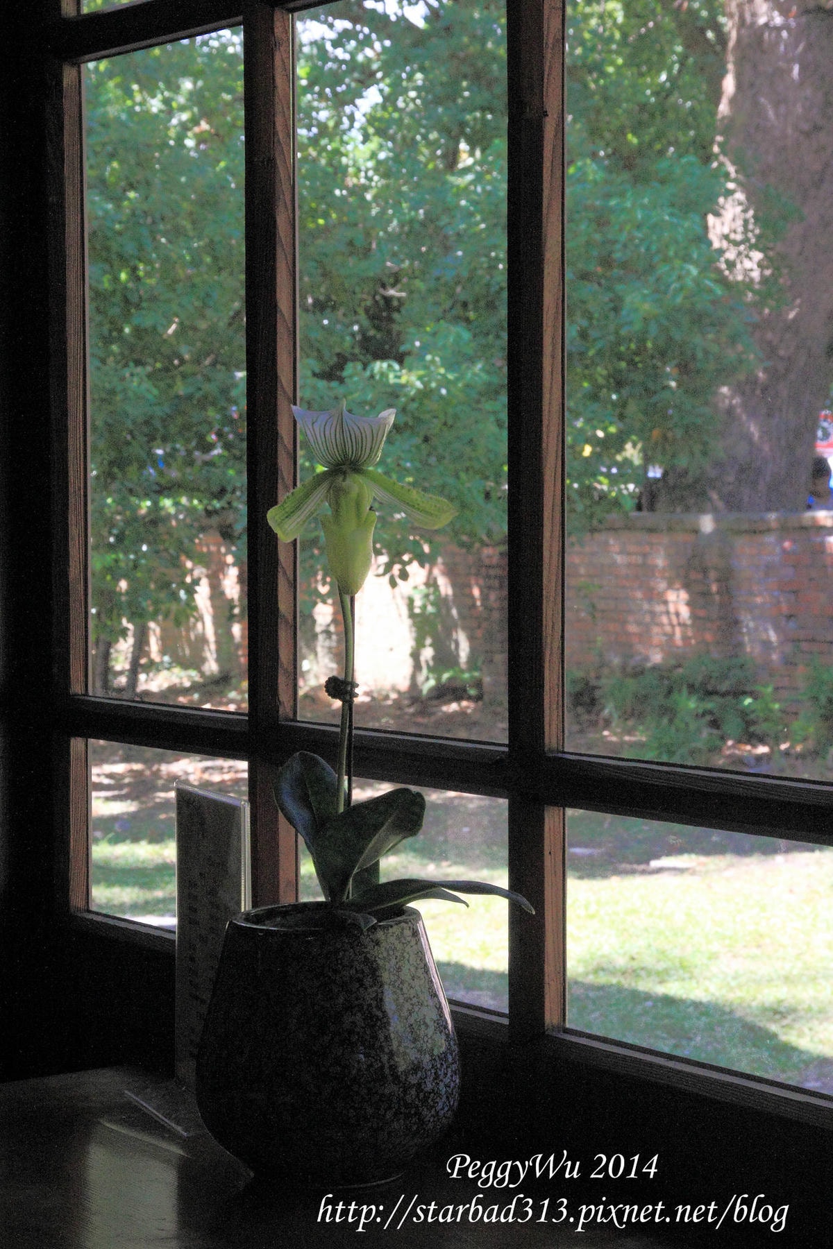 20251013-q7y9p 20251013-q7y9p