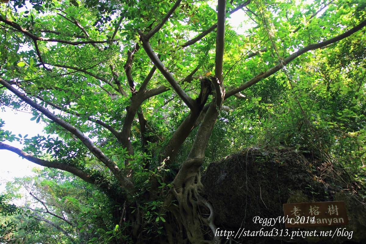 20251013-yxb0c 20251013-yxb0c