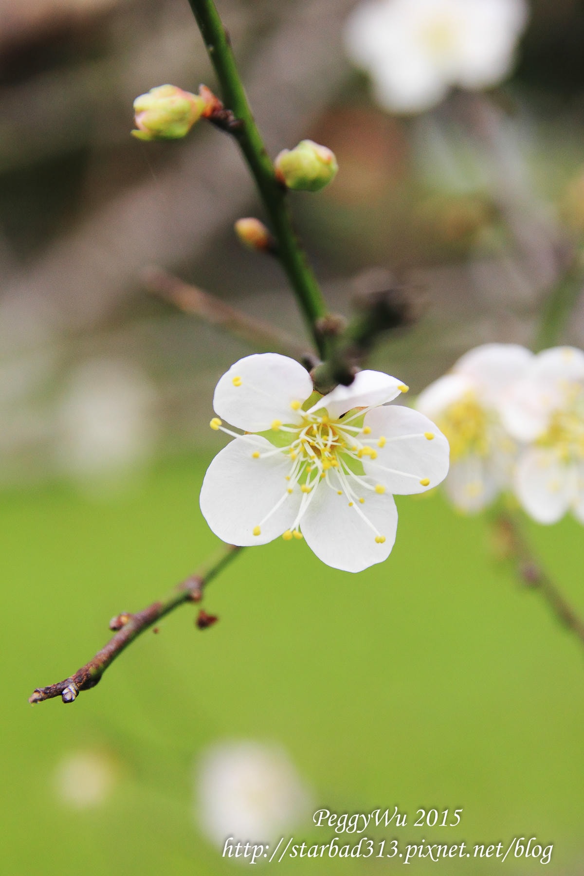 20251013-1ablt 20251013-1ablt