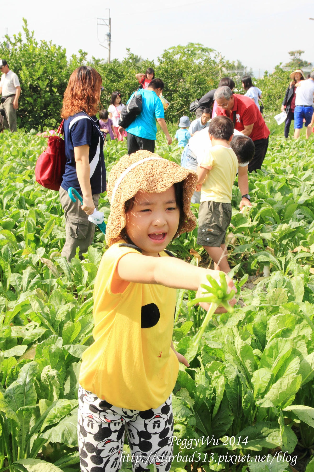 20251013-1tx39 20251013-1tx39