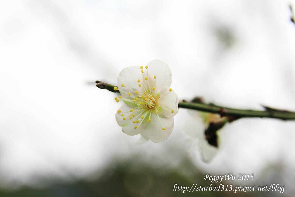 20251013-44nix 20251013-44nix