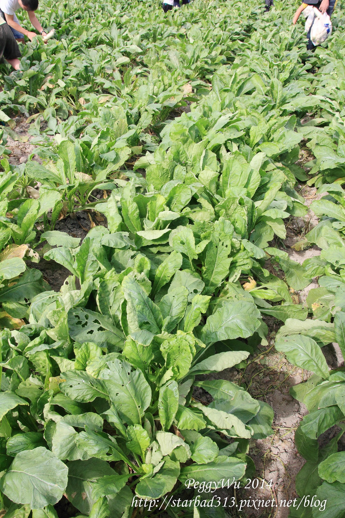 20251013-9oitb 20251013-9oitb