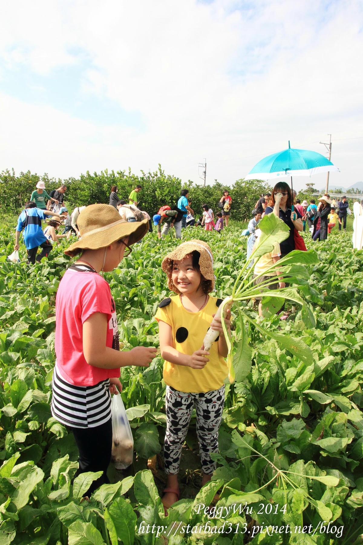 20251013-df5p1 20251013-df5p1