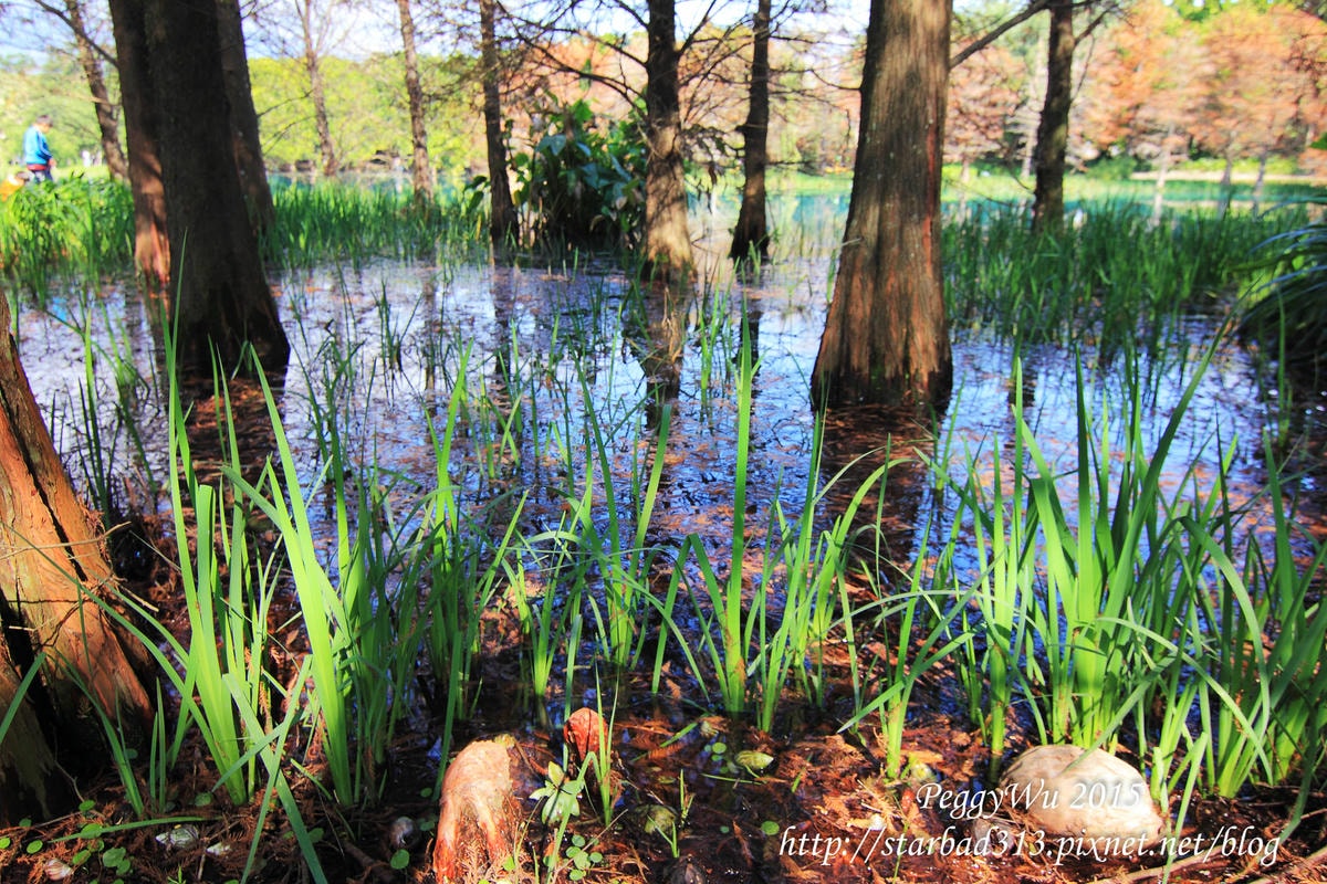 20251013-doag2 20251013-doag2