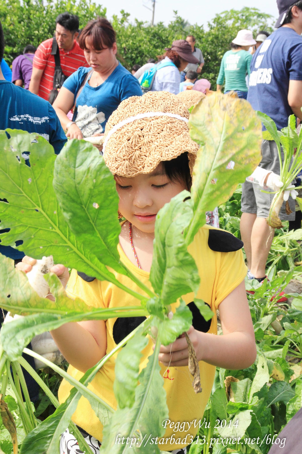 20251013-dvo84 20251013-dvo84