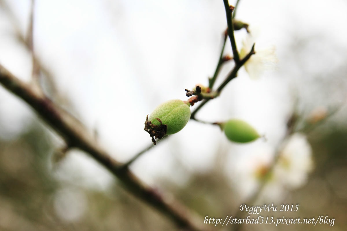 20251013-e7e3i 20251013-e7e3i