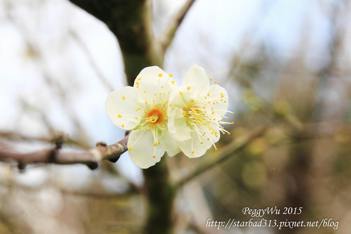 20251013-gmrjh 20251013-gmrjh