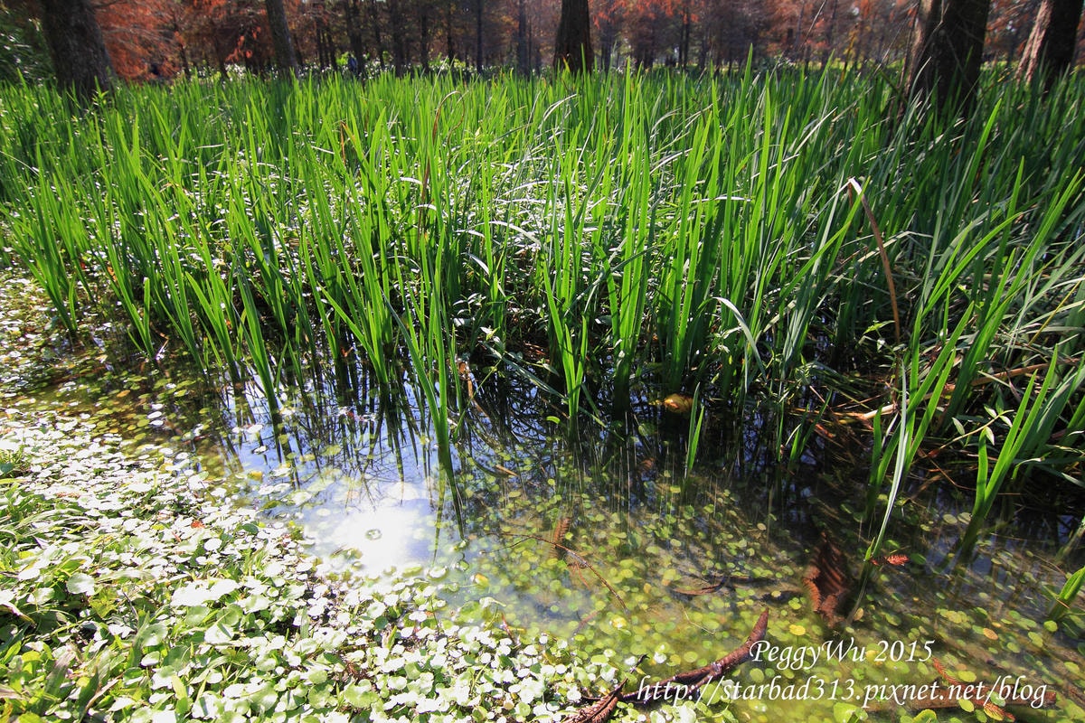 20251013-gso17 20251013-gso17