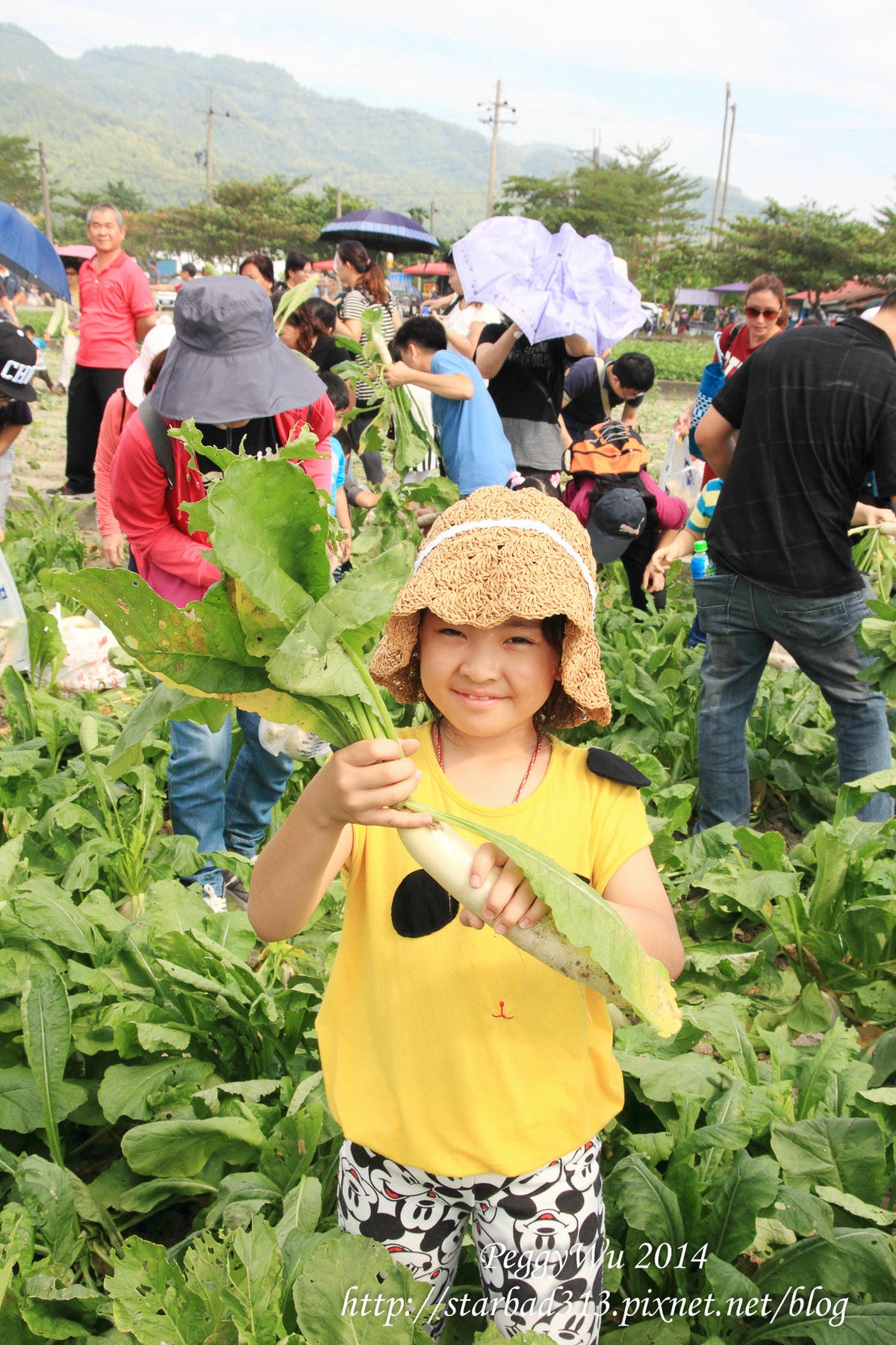 20251013-itdo2 20251013-itdo2