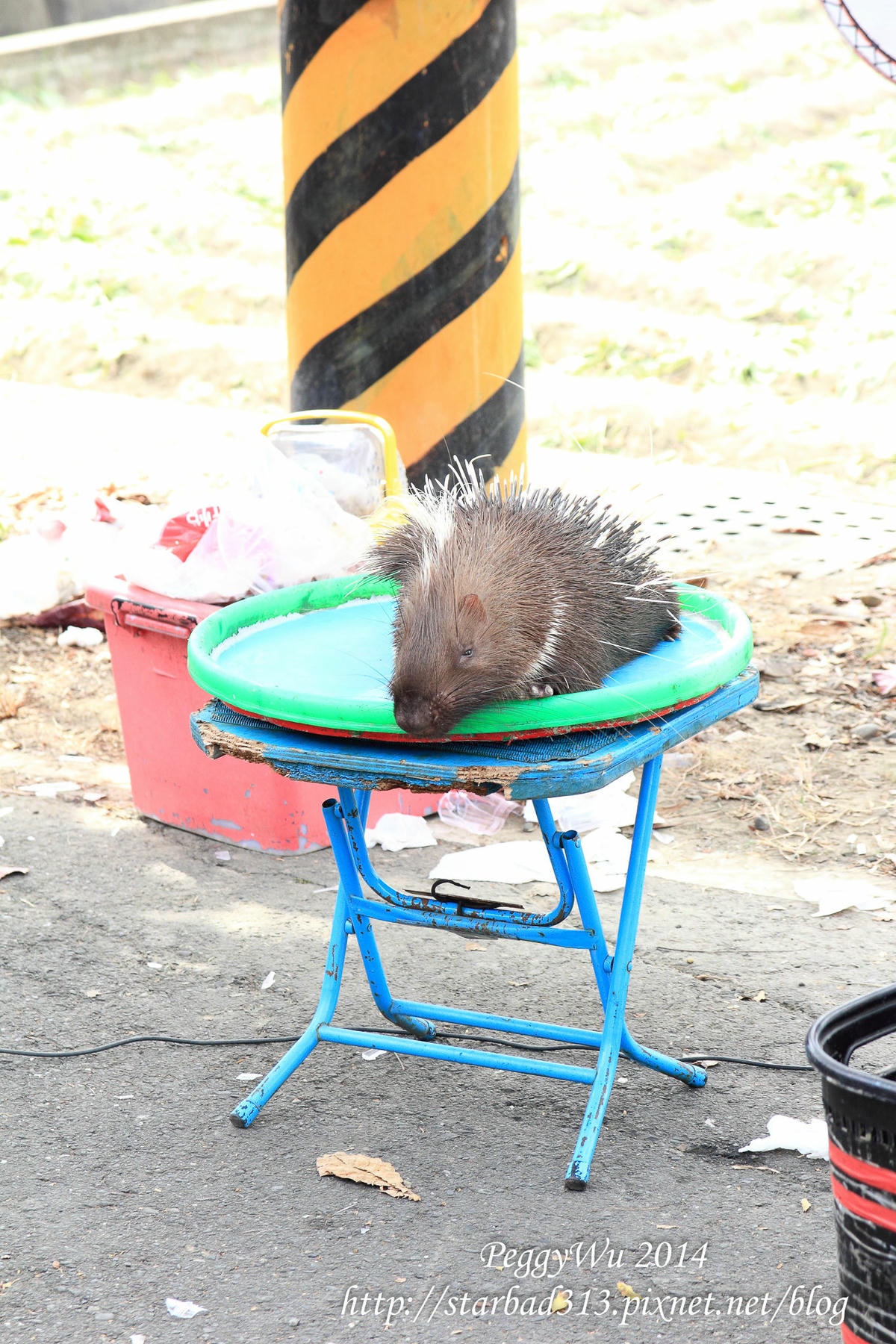 20251013-mka4m 20251013-mka4m