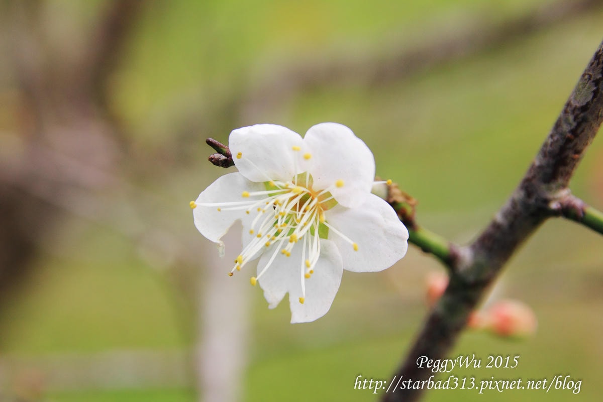 20251013-q45jd 20251013-q45jd