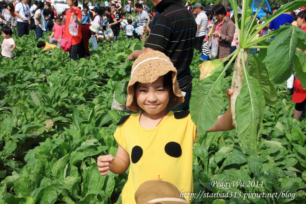 20251013-q4h7v 20251013-q4h7v