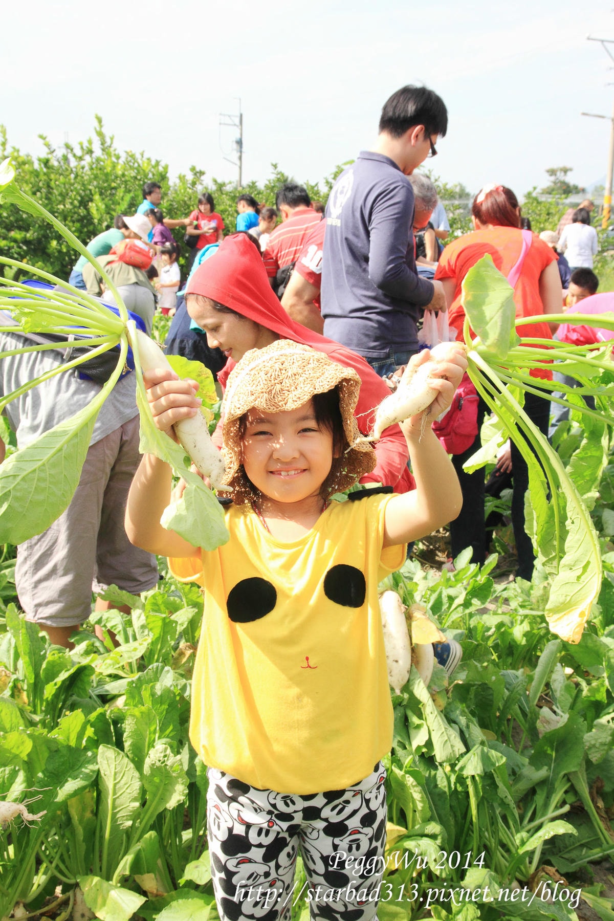 20251013-qnetl 20251013-qnetl