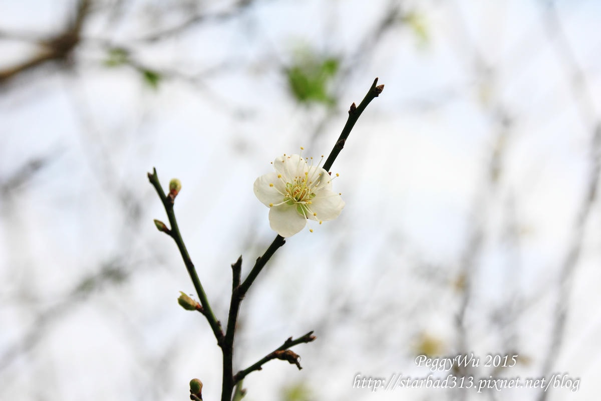 20251013-s0llw 20251013-s0llw