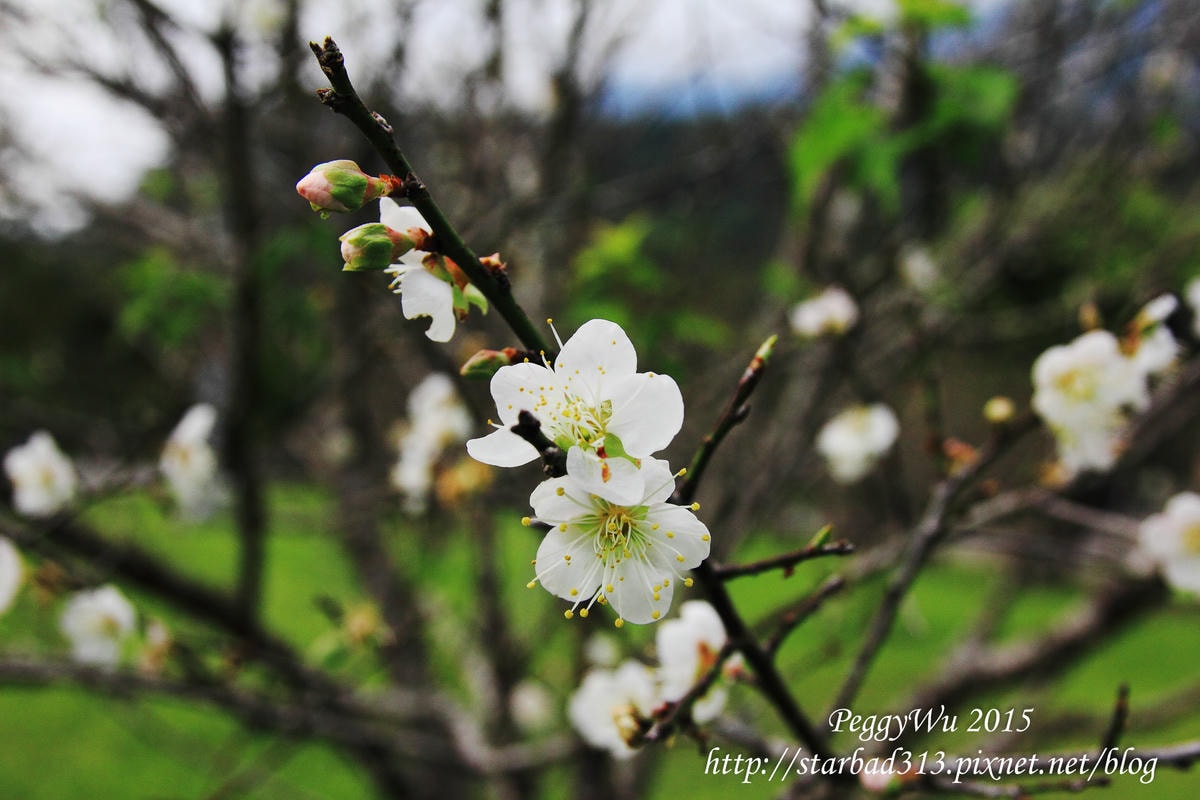 20251013-xk1vb 20251013-xk1vb