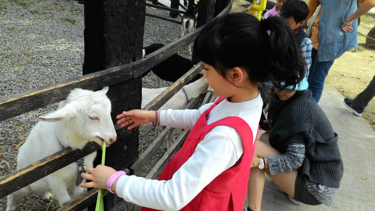 20251013-3xp95 20251013-3xp95