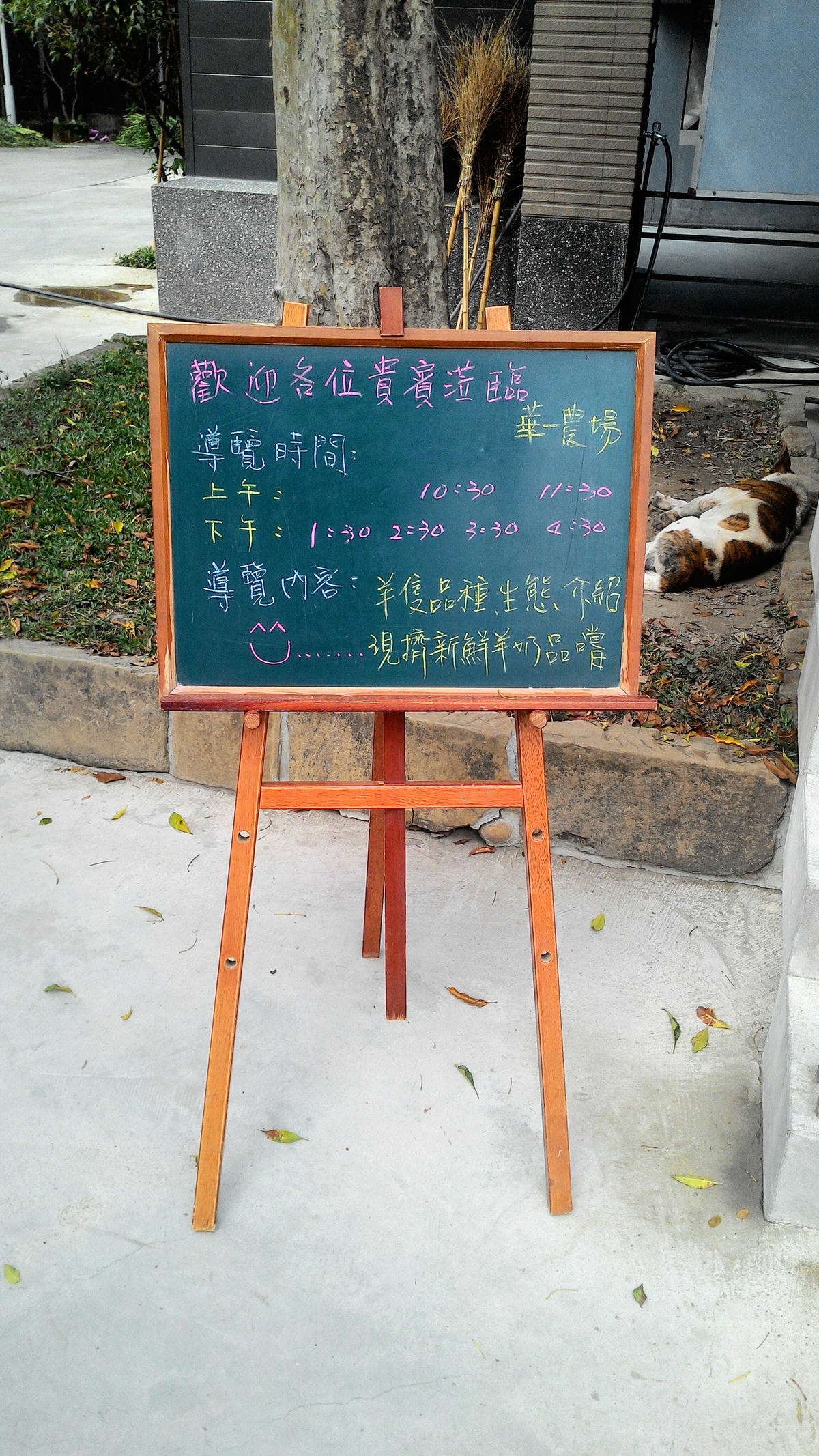 20251013-5dwia 20251013-5dwia