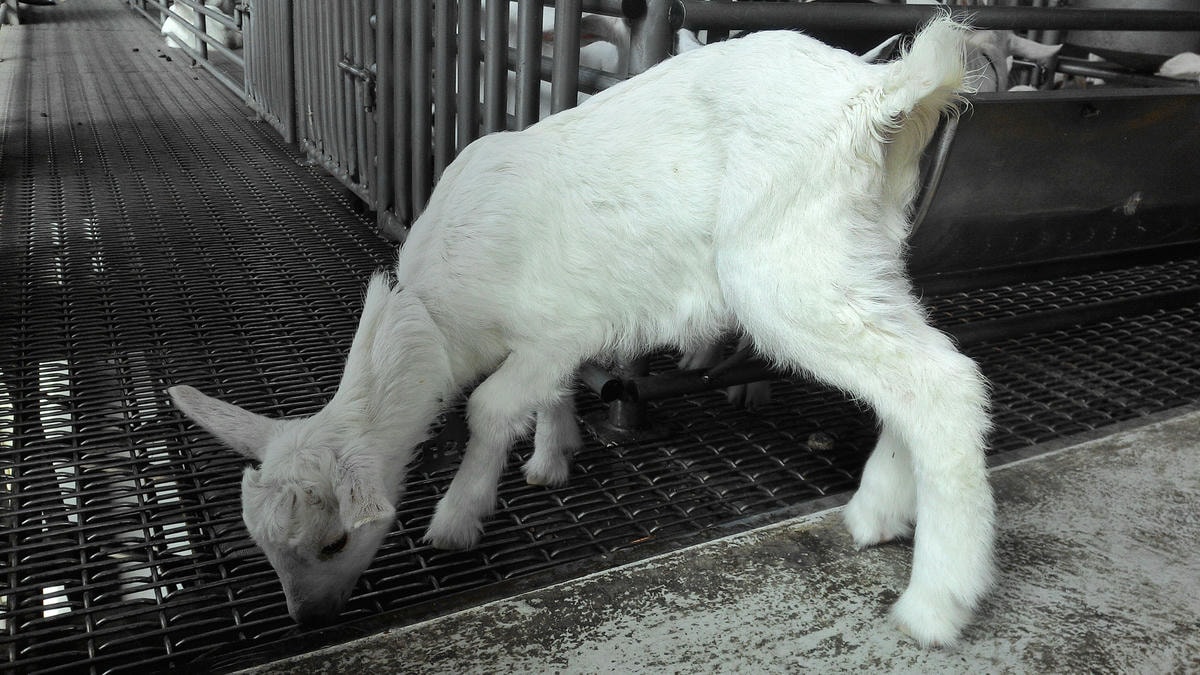 20251013-7eoq8 20251013-7eoq8