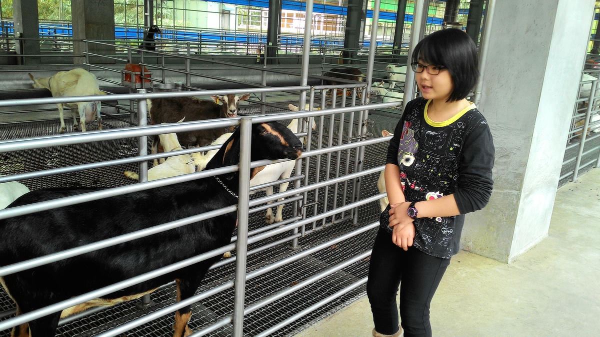 20251013-98czu 20251013-98czu