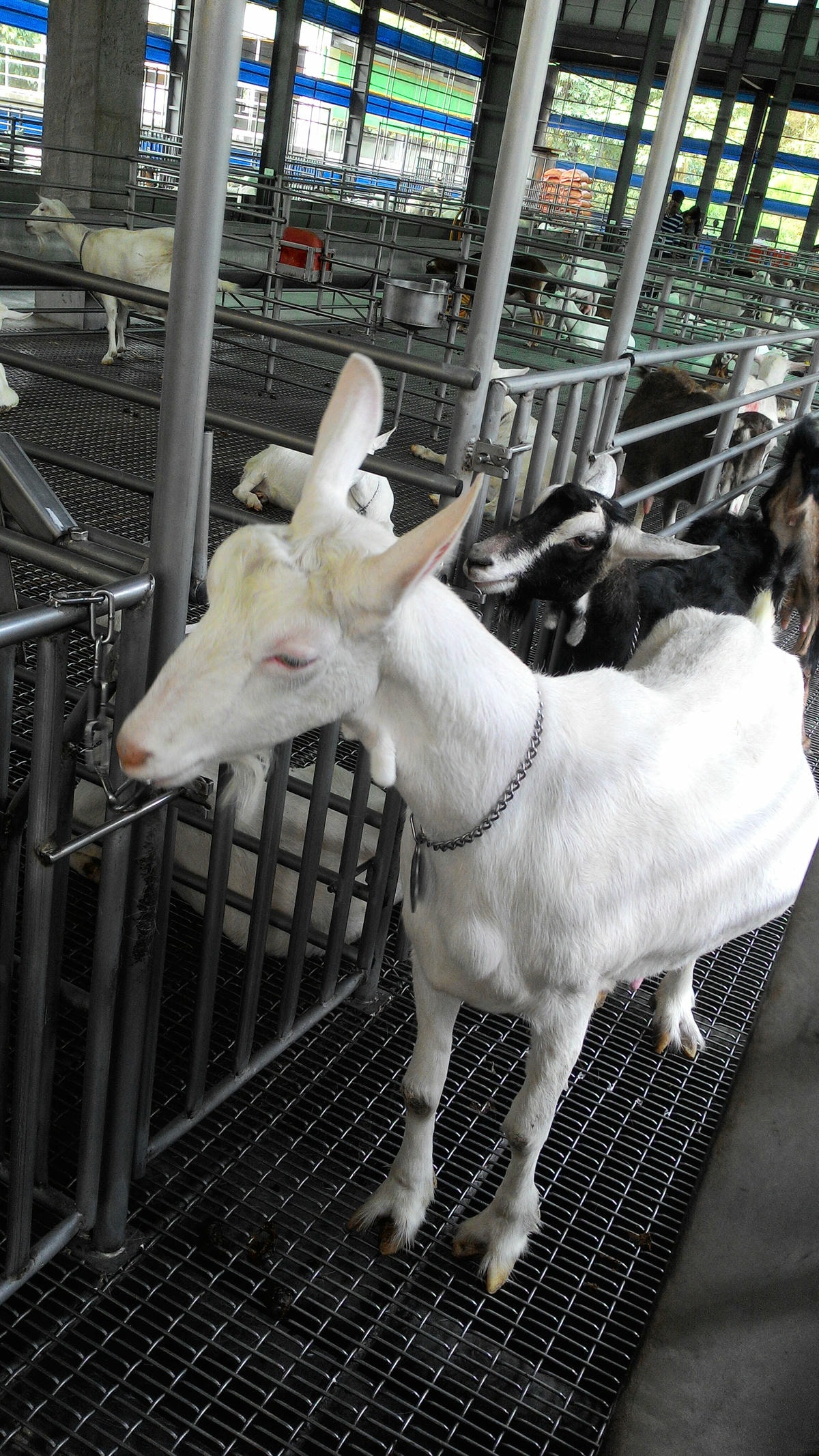 20251013-afiy9 20251013-afiy9