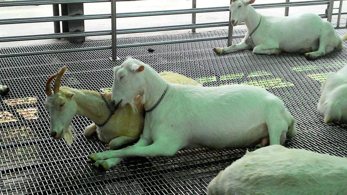 20251013-cnjjt 20251013-cnjjt