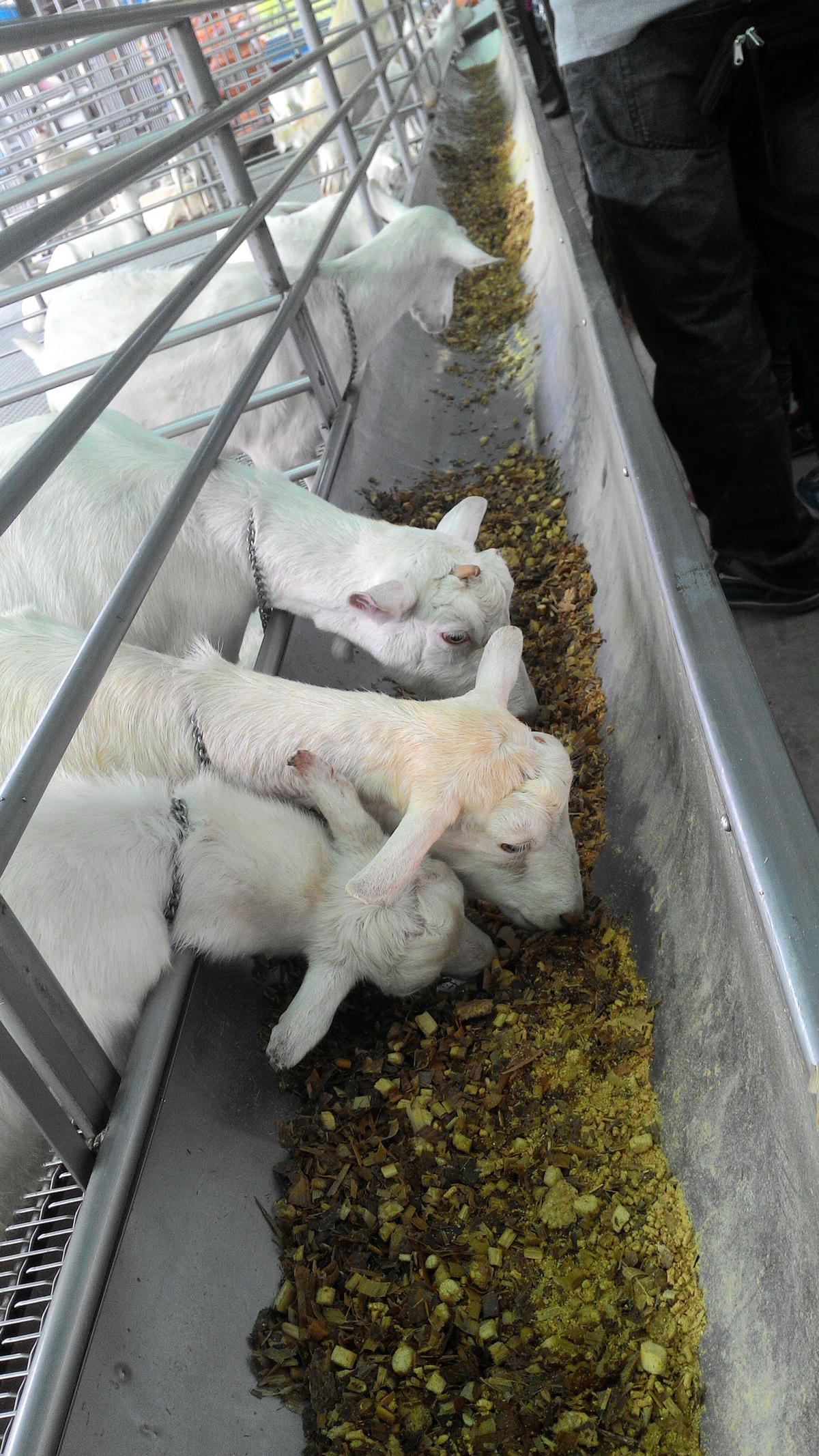 20251013-cq1kn 20251013-cq1kn